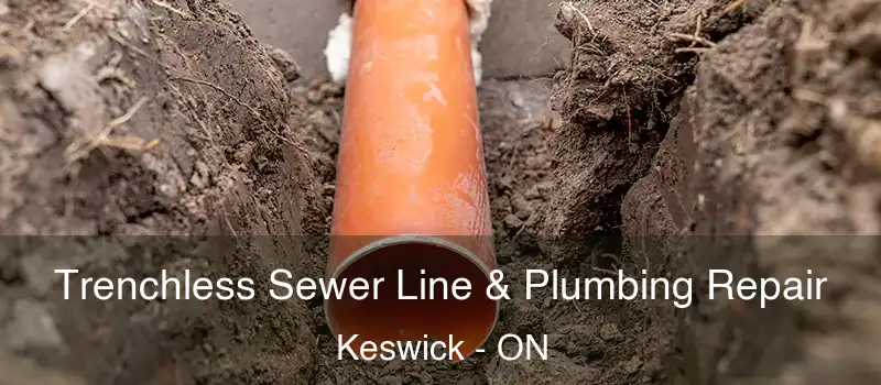 Trenchless Sewer Line & Plumbing Repair Keswick - ON